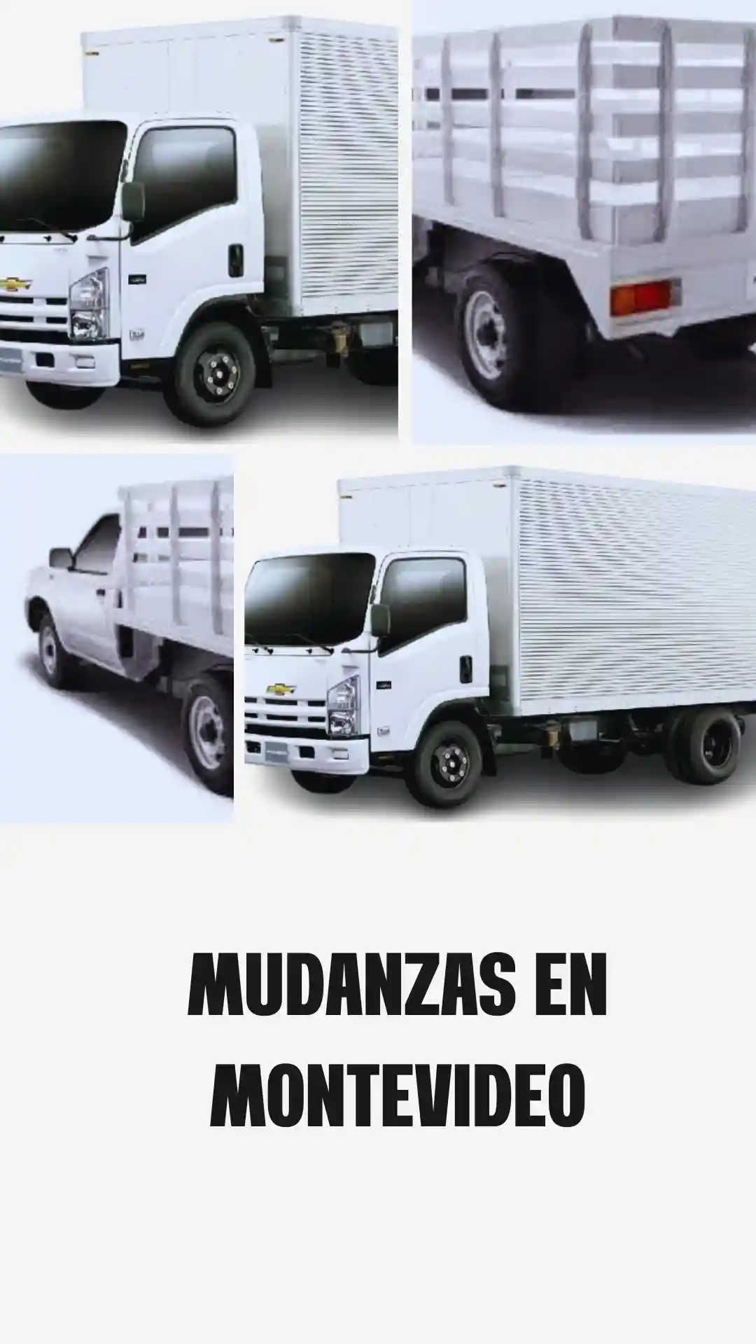 mudanzas en montevideo camiones webp